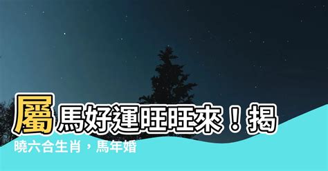 屬馬六合生肖|【屬馬六合生肖】屬馬好運旺旺來！揭曉六合生肖，馬年婚配吉凶。